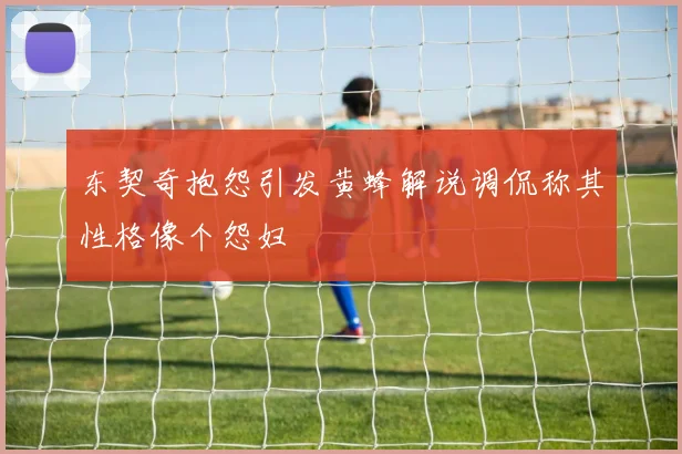 东契奇抱怨引发黄蜂解说调侃称其性格像个怨妇