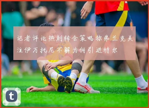 记者评论热刺转会策略称弗兰克关注伊万托尼不解为何引进特尔